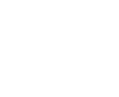 The Detailing Studio